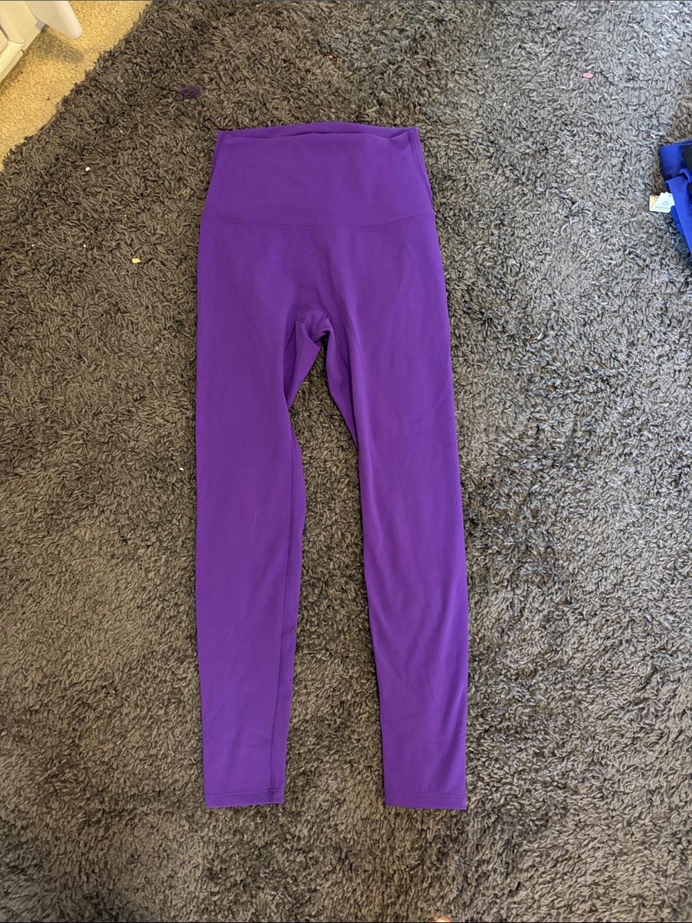Bright Purple Leggings